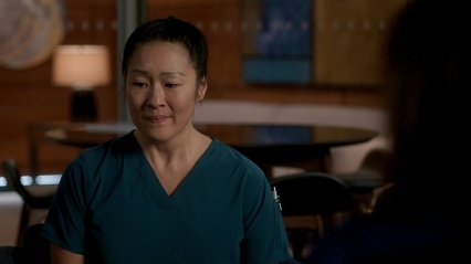 5x16 The Shaun Show 431