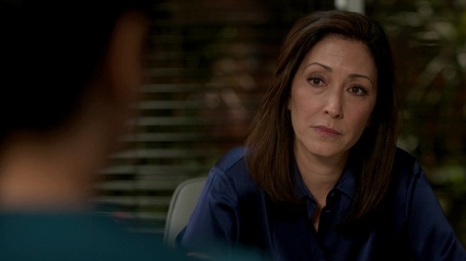 5x16 The Shaun Show 432